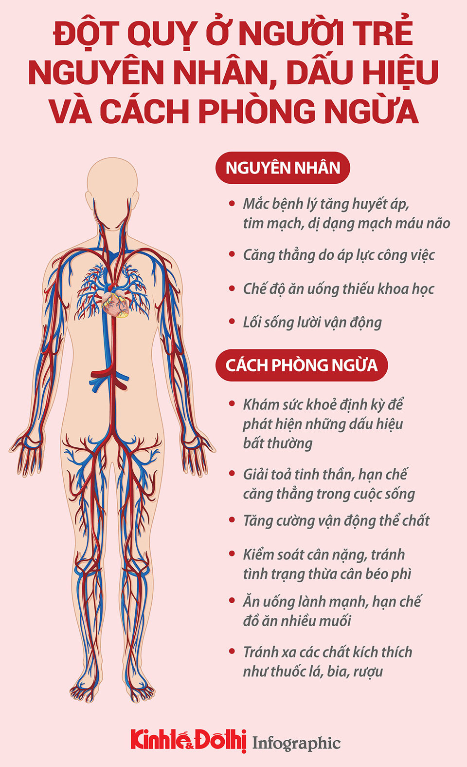  Nguyên nhân, dấu hiệu, cách phòng ngừa đột quỵ ở người trẻ - Ảnh 1