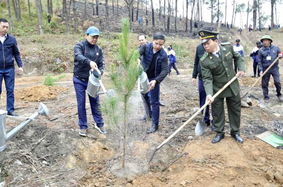 C&aacute;c&nbsp;đại biểu&nbsp;tham gia Tết trồng c&acirc;y. Ảnh: TTT