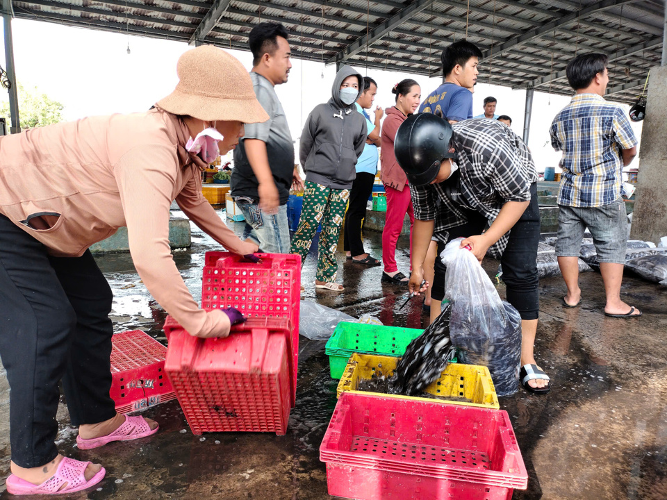 Quang cảnh tấp nập mua b&aacute;n ở cửa biển Kh&aacute;nh Hội đầu xu&acirc;n (Ảnh: Ho&agrave;ng Nam).