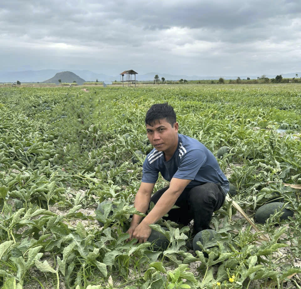 Ksor &Uacute;t buồn b&atilde; b&ecirc;n ruộng dưa hấu của gia đ&igrave;nh.