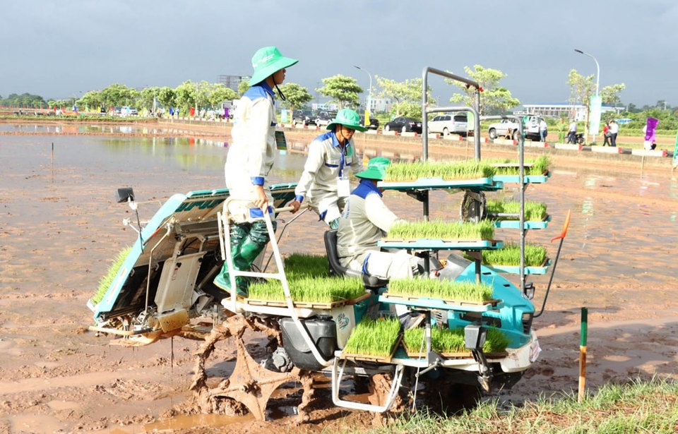 Ứng dụng mạ khay m&aacute;y cấy trong gieo cấy l&uacute;a tại x&atilde; Nam Phong (huyện Ph&uacute; Xuy&ecirc;n).&nbsp;Ảnh: Thu Phượng