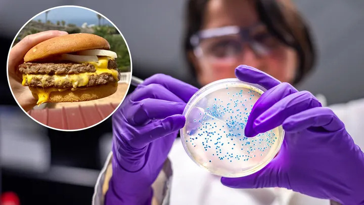 Đợt b&ugrave;ng ph&aacute;t vi khuẩn E.Coli năm 2024 buộc McDonald's&nbsp;phải tạm thời loại bỏ m&oacute;n hamburger Quarter Pounder khỏi c&aacute;c thực đơn tr&ecirc;n to&agrave;n nước Mỹ. Ảnh: iStock