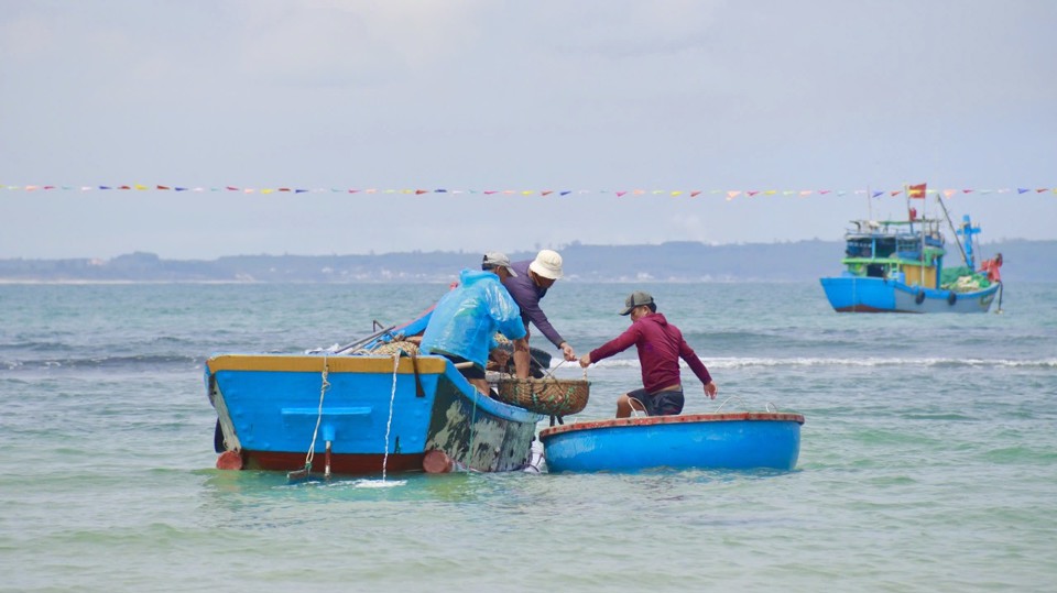 Ruốc xuất hiện ở ven biển c&aacute;ch bờ 2 - 4 hải l&yacute;.