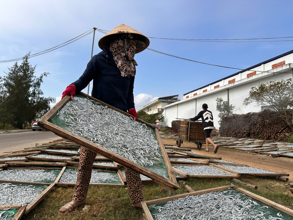 C&aacute; cơm kh&ocirc; rất tiện dụng, d&ugrave;ng chế biến c&aacute;c m&oacute;n ăn như: c&aacute; cơm kh&ocirc; nấu canh, c&aacute; cơm l&agrave;m gỏi, kh&ocirc; c&aacute; cơm rim tỏi ớt, kh&ocirc; c&aacute; cơm chi&ecirc;n... hoặc xuất khẩu.