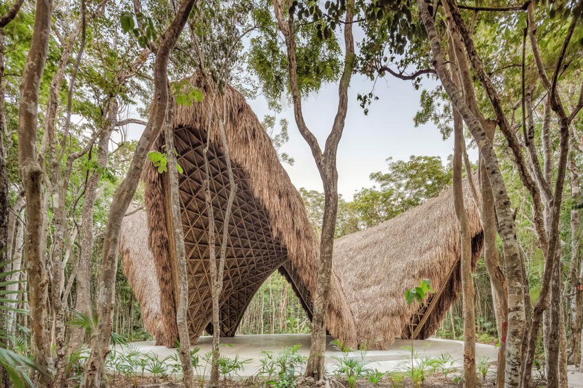 Tulum đang thay đổi nhanh ch&oacute;ng. Những t&ograve;a nh&agrave; b&ecirc; t&ocirc;ng mọc l&ecirc;n ng&agrave;y c&agrave;ng nhiều, rừng rậm bị chặt ph&aacute; để nhường chỗ cho những dự &aacute;n xa hoa. Nhưng giữa d&ograve;ng chảy đ&ocirc; thị h&oacute;a đ&oacute;, Luum Zama chọn đi ngược lại. Hơn một nửa diện t&iacute;ch khu d&acirc;n cư n&agrave;y được giữ nguy&ecirc;n vẹn, rừng vẫn l&agrave; rừng, c&acirc;y vẫn tiếp tục vươn cao. V&agrave; trong l&ograve;ng khu bảo tồn xanh mướt ấy, Luum Temple hiện hữu như một phần tự nhi&ecirc;n của n&oacute;.