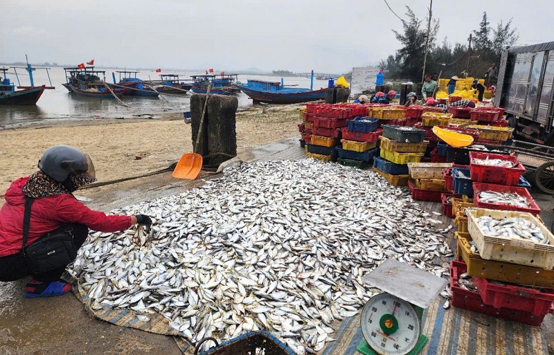 "Gần đ&acirc;y, c&ocirc;ng t&aacute;c tuy&ecirc;n truyền, đấu tranh ngăn chặn khai th&aacute;c thủy sản bất hợp ph&aacute;p, nhất l&agrave; t&agrave;u gi&atilde; c&agrave;o đ&aacute;nh bắt kiểu tận diệt, t&agrave;u c&aacute; "3 kh&ocirc;ng" được c&aacute;c lực lượng chức năng ở tỉnh H&agrave; Tĩnh ch&uacute; trọng. Qua đ&oacute; g&oacute;p phần tạo m&ocirc;i trường tốt để c&aacute;c lo&agrave;i c&aacute;, t&ocirc;m, nhuyễn thể... sinh trưởng, ph&aacute;t triển, đặc biệt l&agrave; ở v&ugrave;ng gần bờ, gi&uacute;p ngư d&acirc;n dễ d&agrave;ng đ&aacute;nh bắt, n&acirc;ng cao hiệu quả kinh tế biển", đại diện l&atilde;nh đạo Đồn Bi&ecirc;n ph&ograve;ng Kỳ Khang cho biết