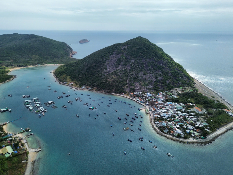 L&agrave;ng ch&agrave;i B&iacute;ch Đầm.