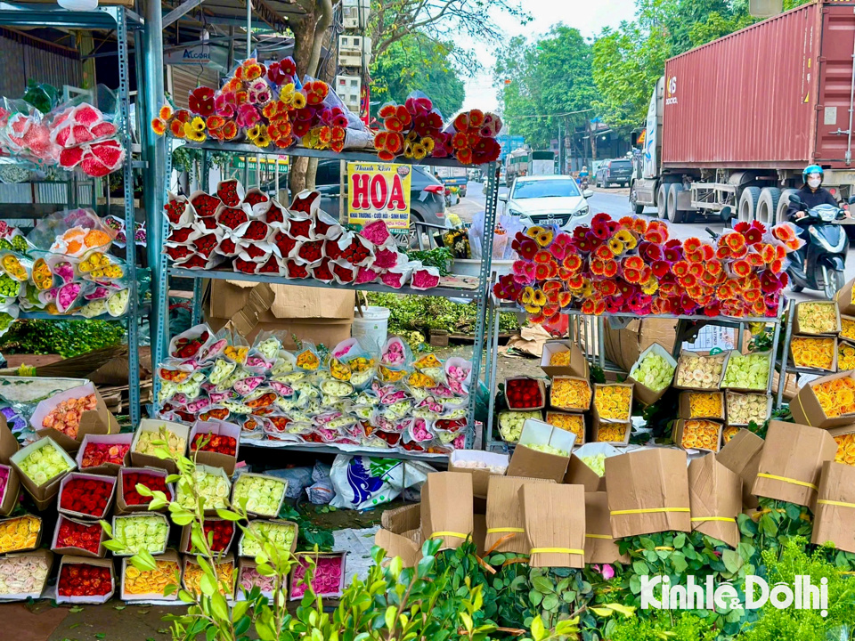 &nbsp;Những b&ocirc;ng hoa tươi sau thu hoạch được vận chuyển&nbsp;cung cấp cho thị trường Thủ đ&ocirc; cũng như nhiều tỉnh th&agrave;nh l&acirc;n cận phục vụ người ti&ecirc;u d&ugrave;ng.&nbsp;&nbsp;