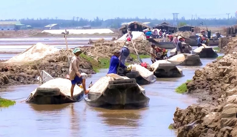 Ghe l&aacute;i thương hồ thu mua muối ở Đ&ocirc;ng Hải Bạc Li&ecirc;u (tư liệu).