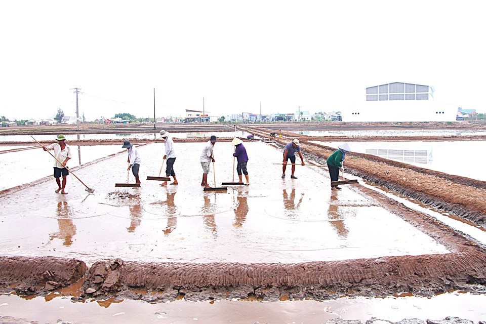 Nghề muối ở Đ&ocirc;ng Hải Bạc Li&ecirc;u ng&agrave;y nay (Ho&agrave;ng Nam)