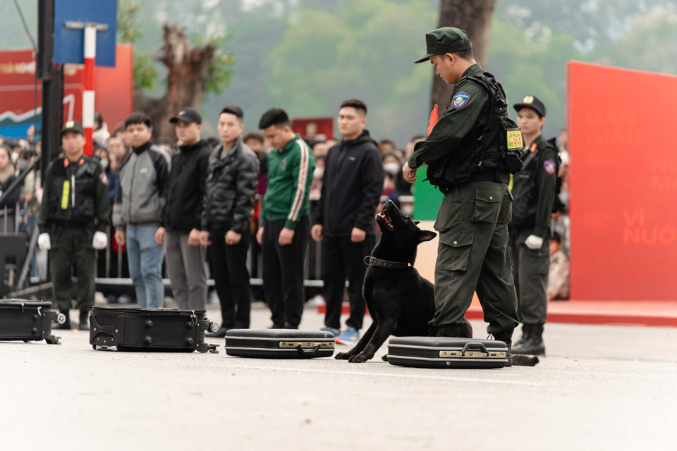 Trầm trồ với "tuyệt kỹ" của Cảnh sát cơ động cùng cảnh khuyển và kỵ binh - Ảnh 2