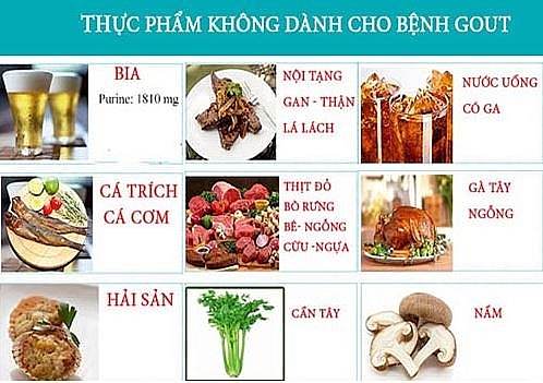 C&aacute;c loại thực phẩm m&agrave; người bị g&uacute;t n&ecirc;n tr&aacute;nh xa.